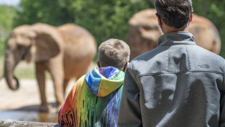 North Carolina Zoo Sets Record Attendance After Passing One Million Guests in 2023