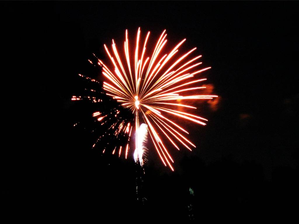 Event Fireworks and Food Trucks at Creekside Park