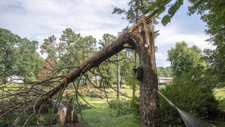 Severe Thunderstorm Leaves Path Of Damage In Randolph County