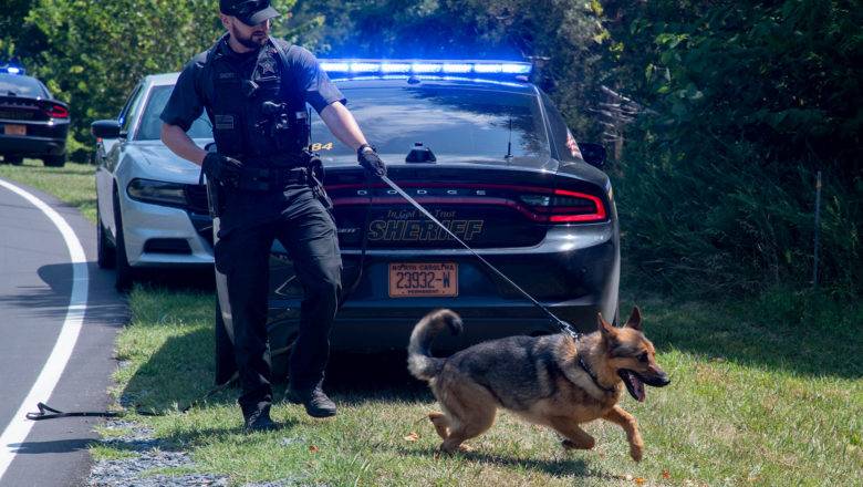K9 Locates Wanted Suspect Who Fled in Crawlspace of Home