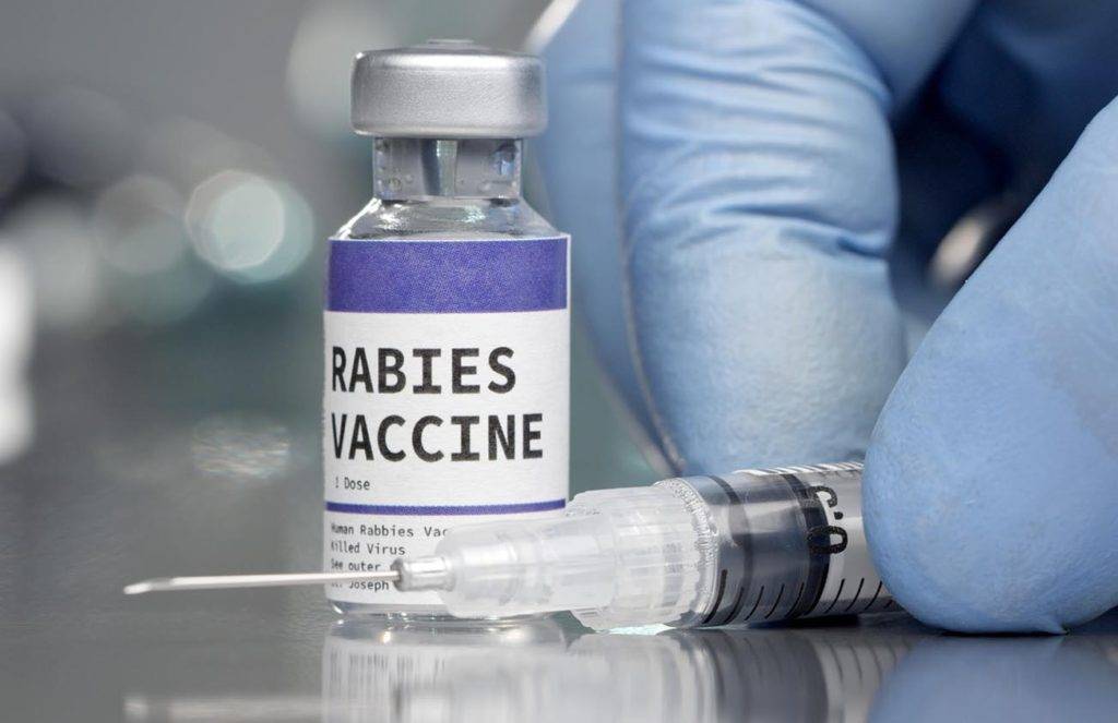 Rabies vaccine vial in medical lab with syringe