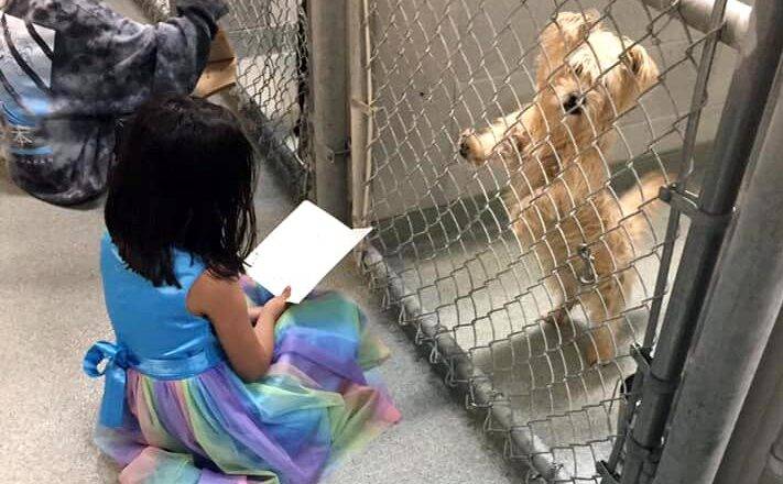 New “Tales for Tails” Program Combines Reading and Animals to Help Reading Skills