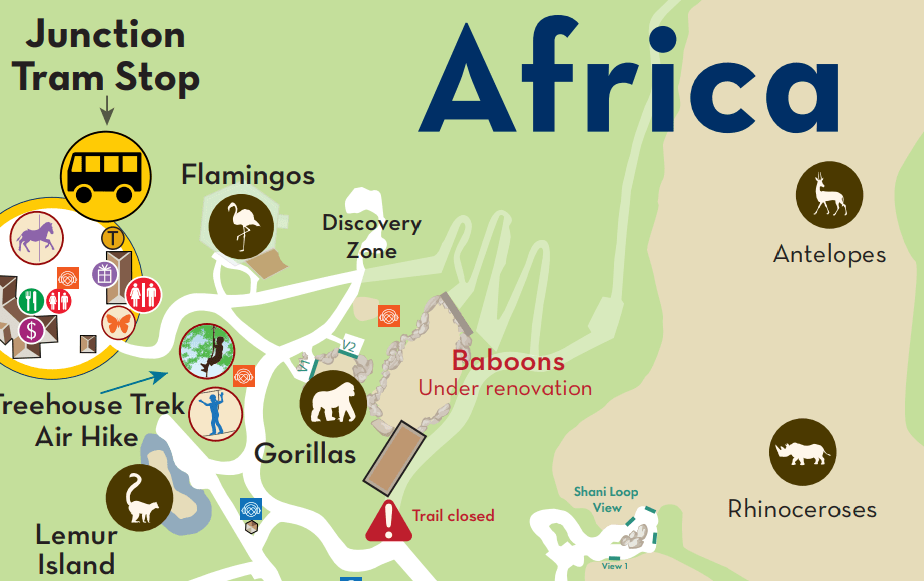 NC Zoo Baboon Habitat Reopens & New Event Premiers This Weekend