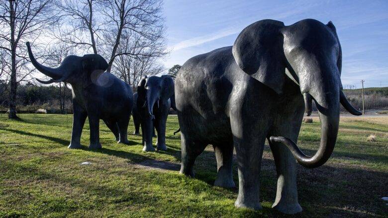 North Carolina Zoo Announces Call for Artists: Artwork for New Asia Region